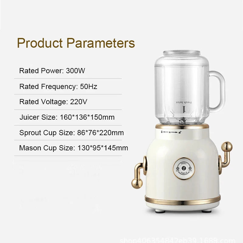 Electric Mini Juicer